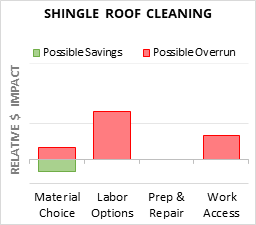 Shingle Roof Cleaning Cost Infographic - critical areas of budget risk and savings