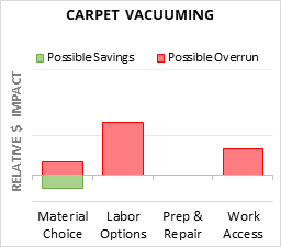 Carpet Vacuuming Cost Infographic - critical areas of budget risk and savings