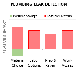 Plumbing Leak Detection Cost Infographic - critical areas of budget risk and savings