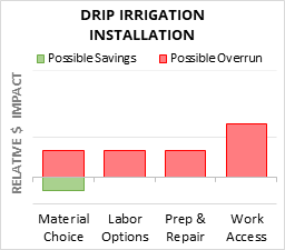 Drip Irrigation Installation Cost Infographic - critical areas of budget risk and savings