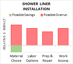 Infographic: Shower Liner Installation key factors for cost control in 2025 Shower Liner Installation Cost Infographic - critical areas of budget risk and savings