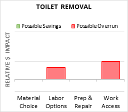 Toilet Removal Cost Infographic - critical areas of budget risk and savings