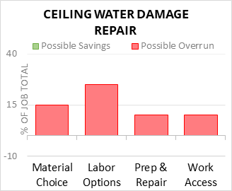Ceiling Water Damage Repair Cost Infographic - critical areas of budget risk and savings