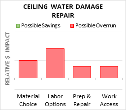 Ceiling Water Damage Repair Cost Infographic - critical areas of budget risk and savings